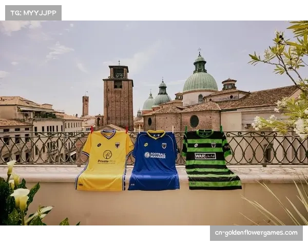 从犁巷到樱桃红：AFC温布尔登的球场重建与英超社区足球文化传承